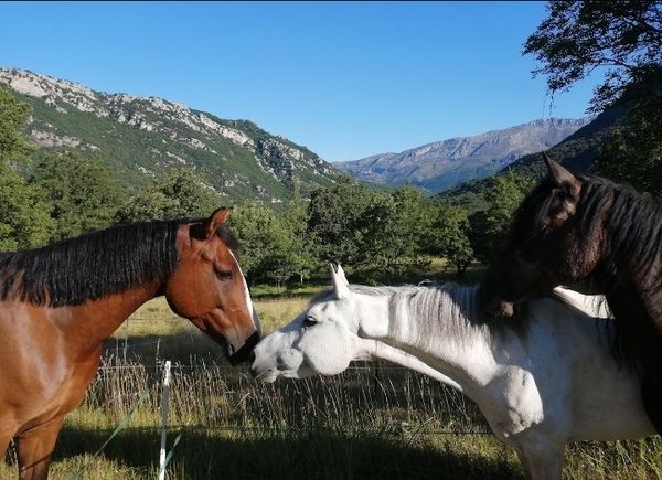 Equit'à Courmes 